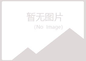 五大连池涟漪会计有限公司